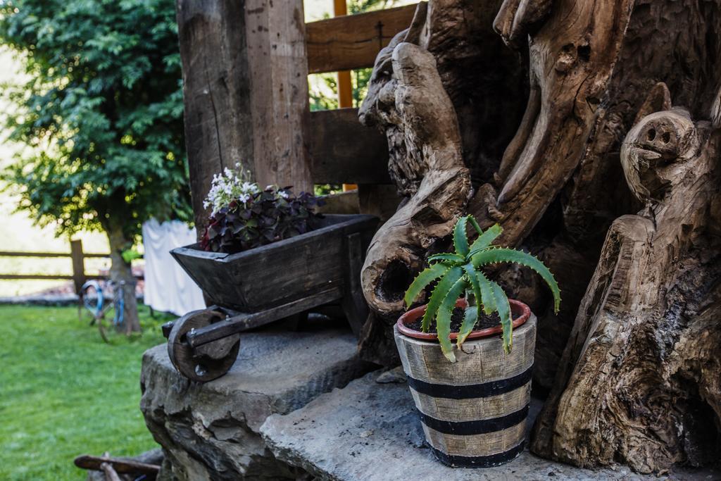 La Posada De Cucayo Dobres Ngoại thất bức ảnh
