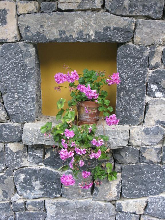 La Posada De Cucayo Dobres Ngoại thất bức ảnh